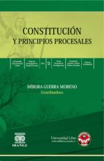 ConstituciÃ³n y Principios Procesales.
